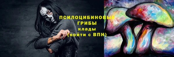 эйфоретик Белокуриха