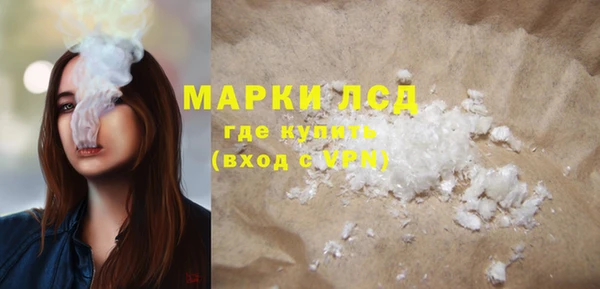 эйфоретик Белокуриха