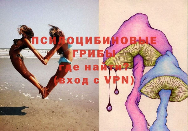 эйфоретик Белокуриха