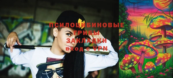 эйфоретик Белокуриха