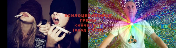 эйфоретик Белокуриха