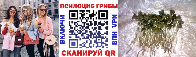 Псилоцибиновые грибы мицелий  купить  сайты  Завитинск 
